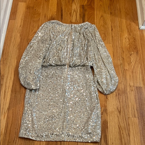 Elijah J Sequin Blouson Sleeve Dress - Picture 13 of 14